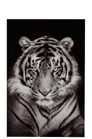 J-Line Wanddekoration Tiger Gehärtetes Glas Schwarz Weiß 23541