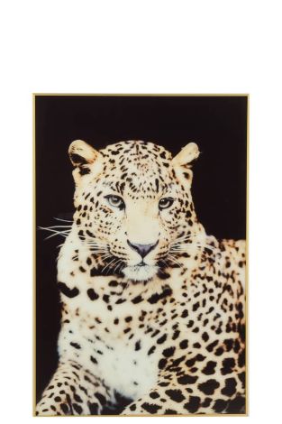 J-Line Wanddekoration Leopard Glas Aluminium Schwarz Gold 36230